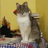 Отзыв от Полина Трофимова